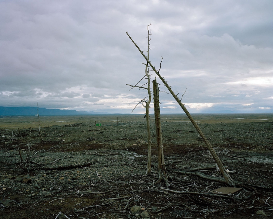 Â©Julien Chatelin 2015Russia, Norilsk, August 2015.Dead forest near the Nickel factory.  Due to high pollution from the factories, the soil is heavelly polluted up to 100 km radius and residents are forbidden from gathering berries or mushrooms due to high toxicity.